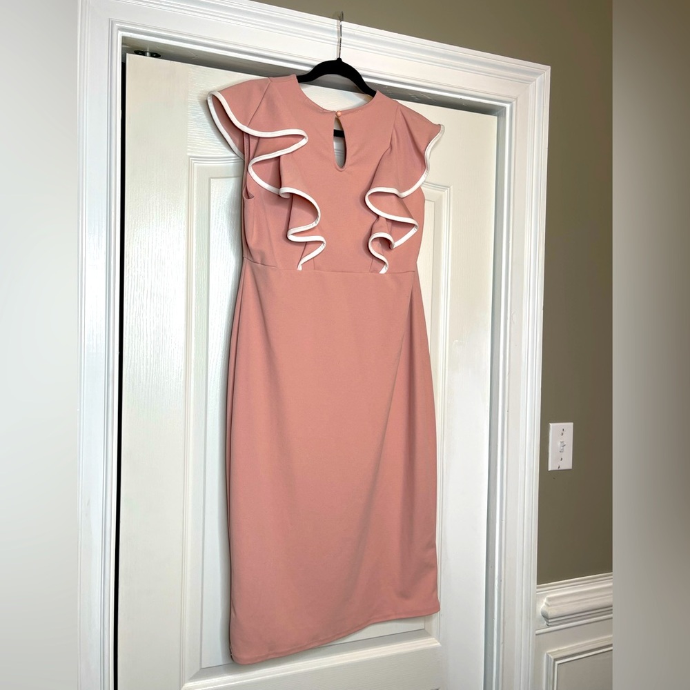 NWT Pink MIDI dress